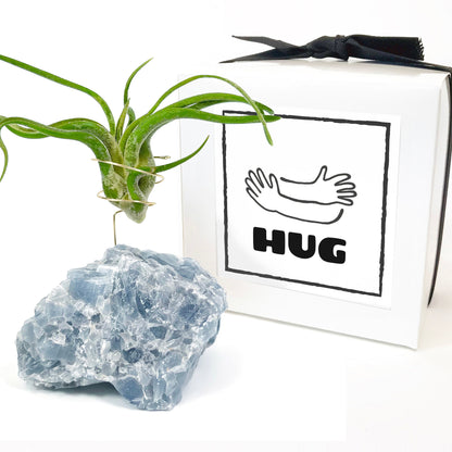 Blue Calcite Crystal Air Plant Holder