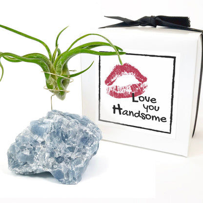 Get Well Gift - Blue Calcite Crystal Air Plant Holder