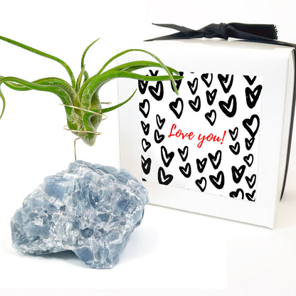 Get Well Gift - Blue Calcite Crystal Air Plant Holder