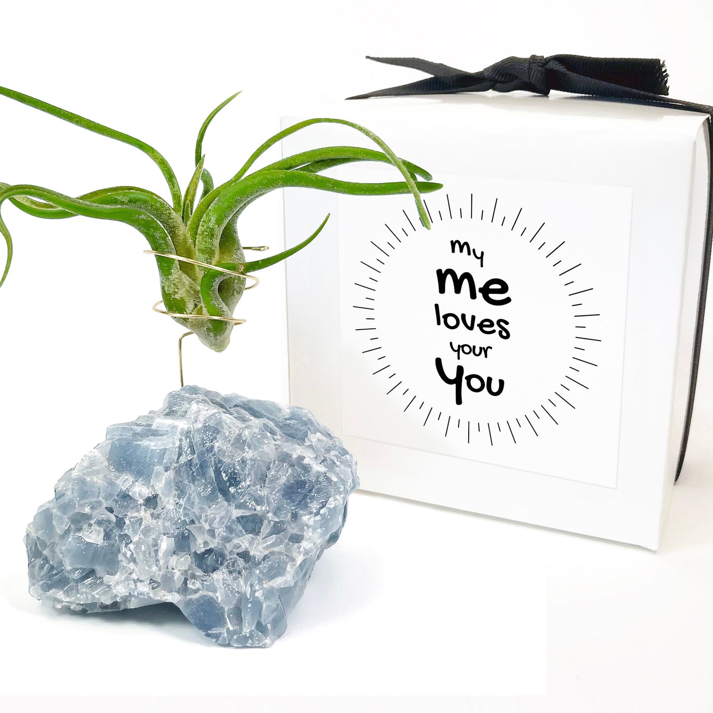 Blue Calcite Crystal Air Plant Holder