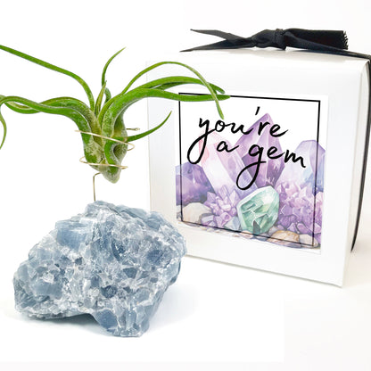 Blue Calcite Crystal Air Plant Holder