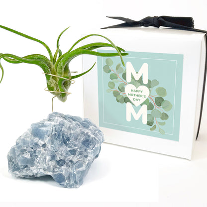 Blue Calcite Crystal Air Plant Holder