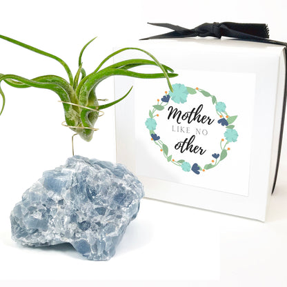 Blue Calcite Crystal Air Plant Holder