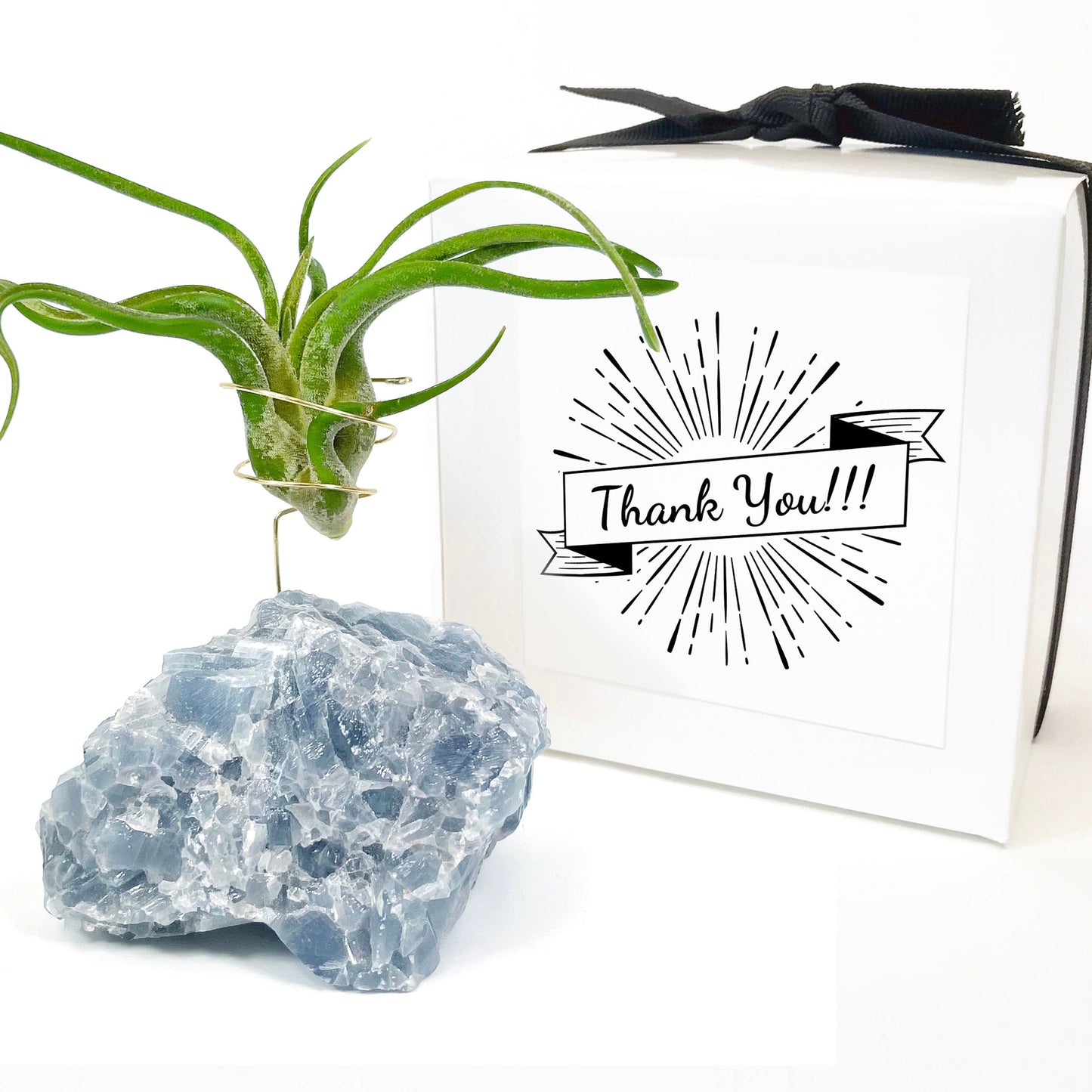 Thank You Gift - Blue Calcite Crystal Air Plant Holder