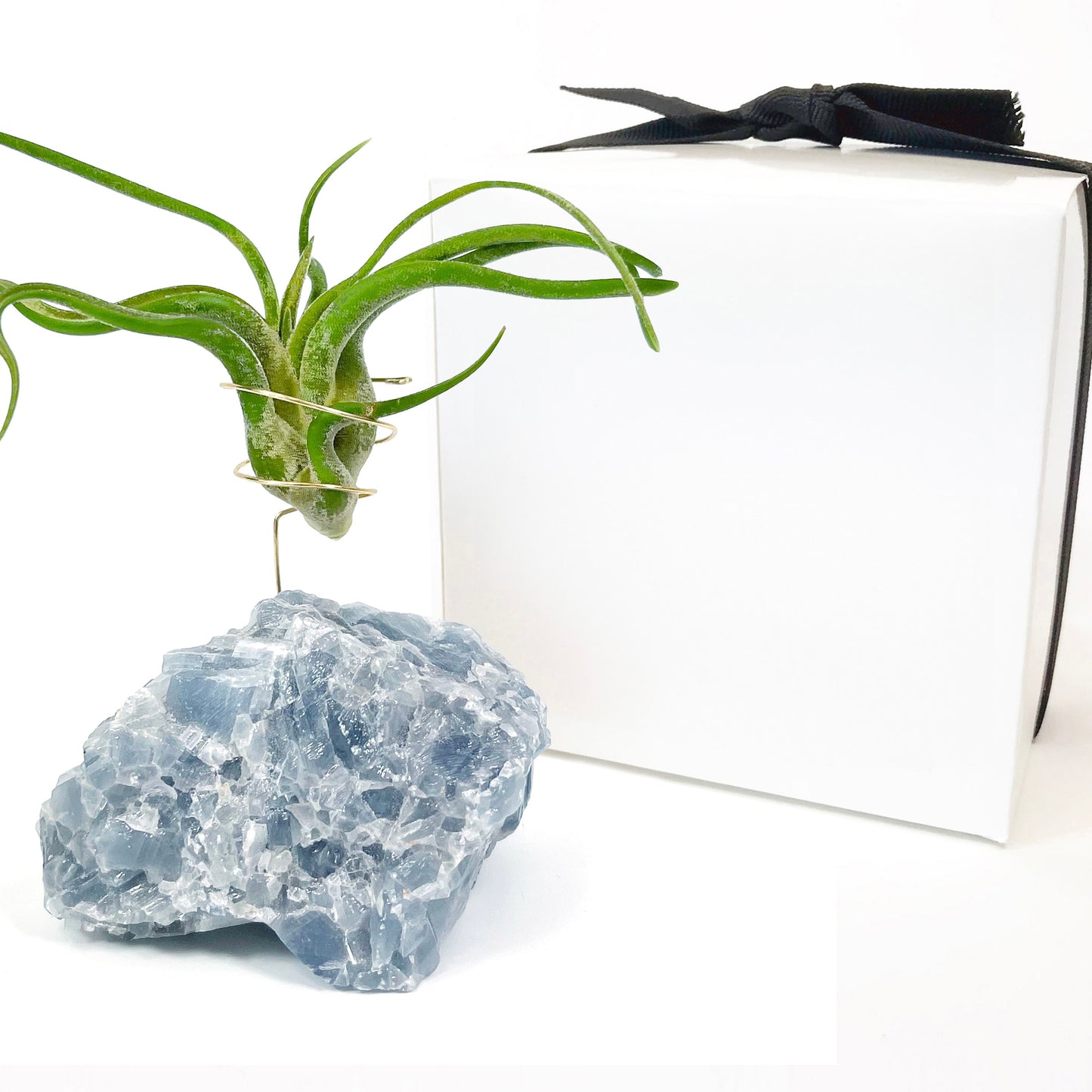 Blue Calcite Crystal Air Plant Holder