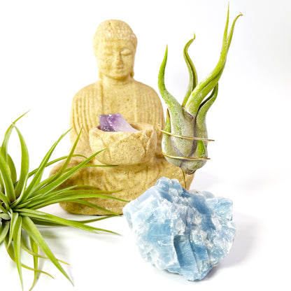 Blue Calcite Crystal Air Plant Holder