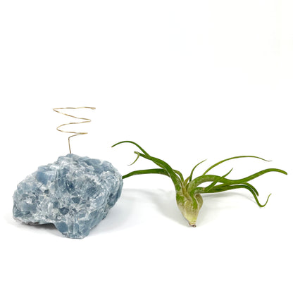 Blue Calcite Crystal Air Plant Holder