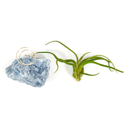 Blue Calcite Crystal Air Plant Holder