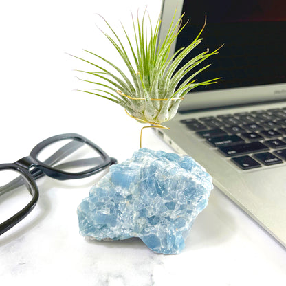 Unique Birthday Gift - Blue Calcite Crystal Air Plant Holder