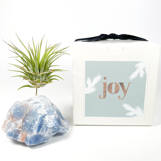 Unique Holiday Gift - Blue Calcite Crystal Air Plant Holder - Joy Gift Box