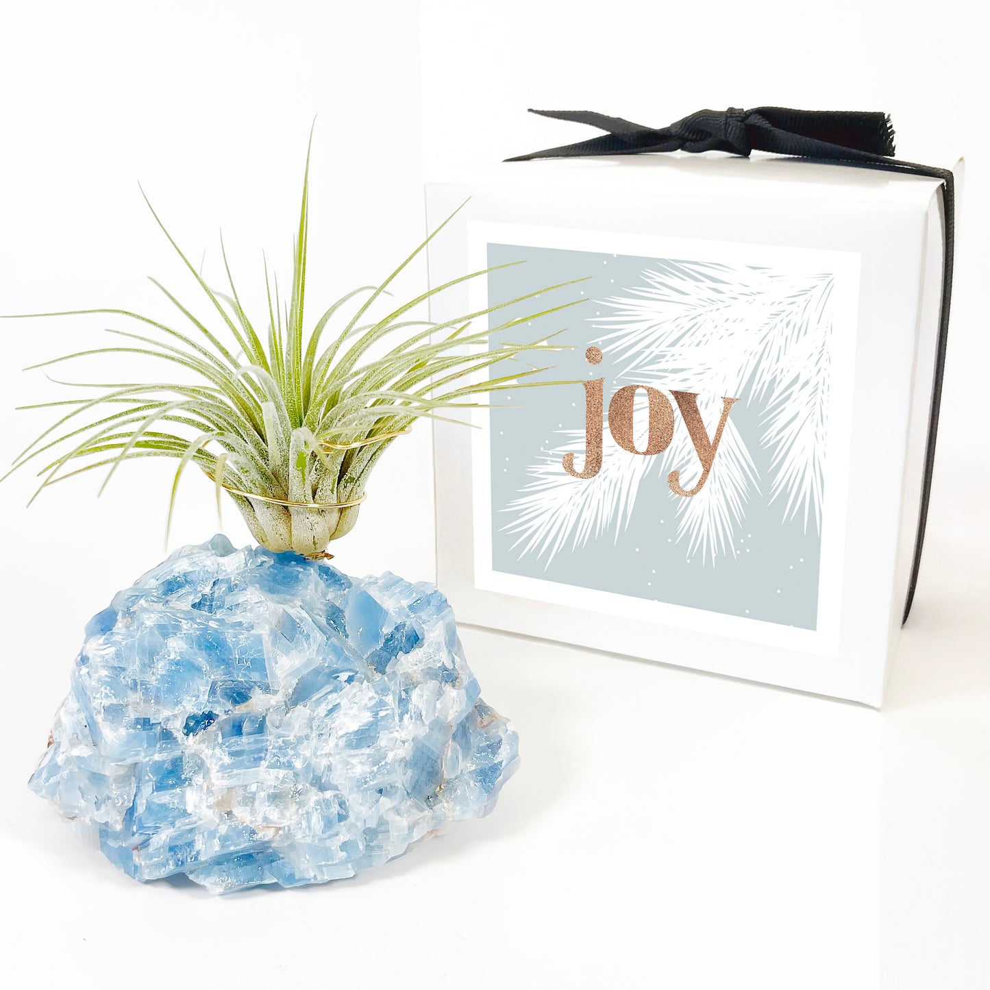 Blue Calcite Crystal Air Plant Holder