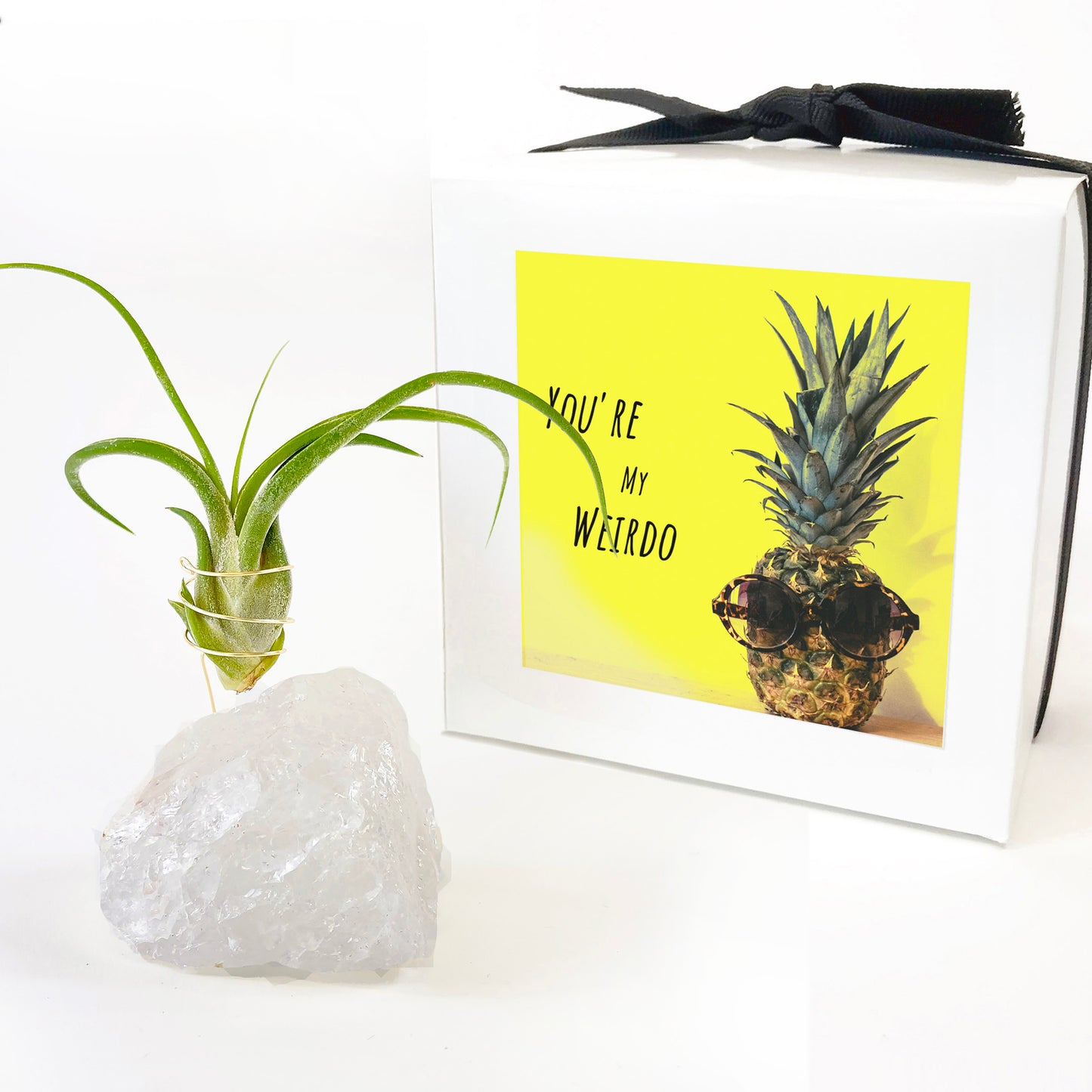 Clear Quartz Crystal Air Plant Holder