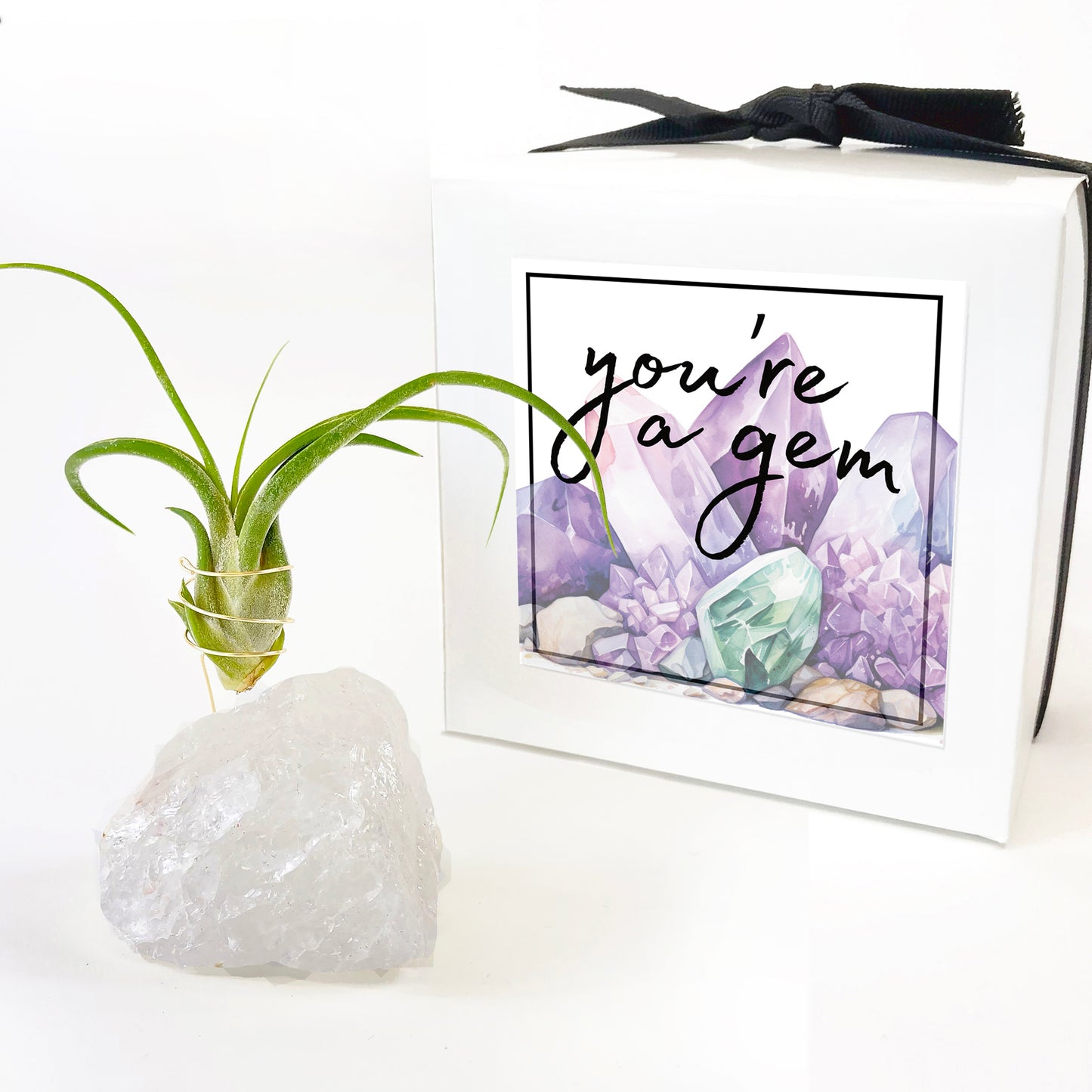 Mother's Day Gift —  Clear Quartz Crystal Air Plant Holder