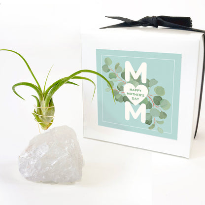 Mother's Day Gift —  Clear Quartz Crystal Air Plant Holder