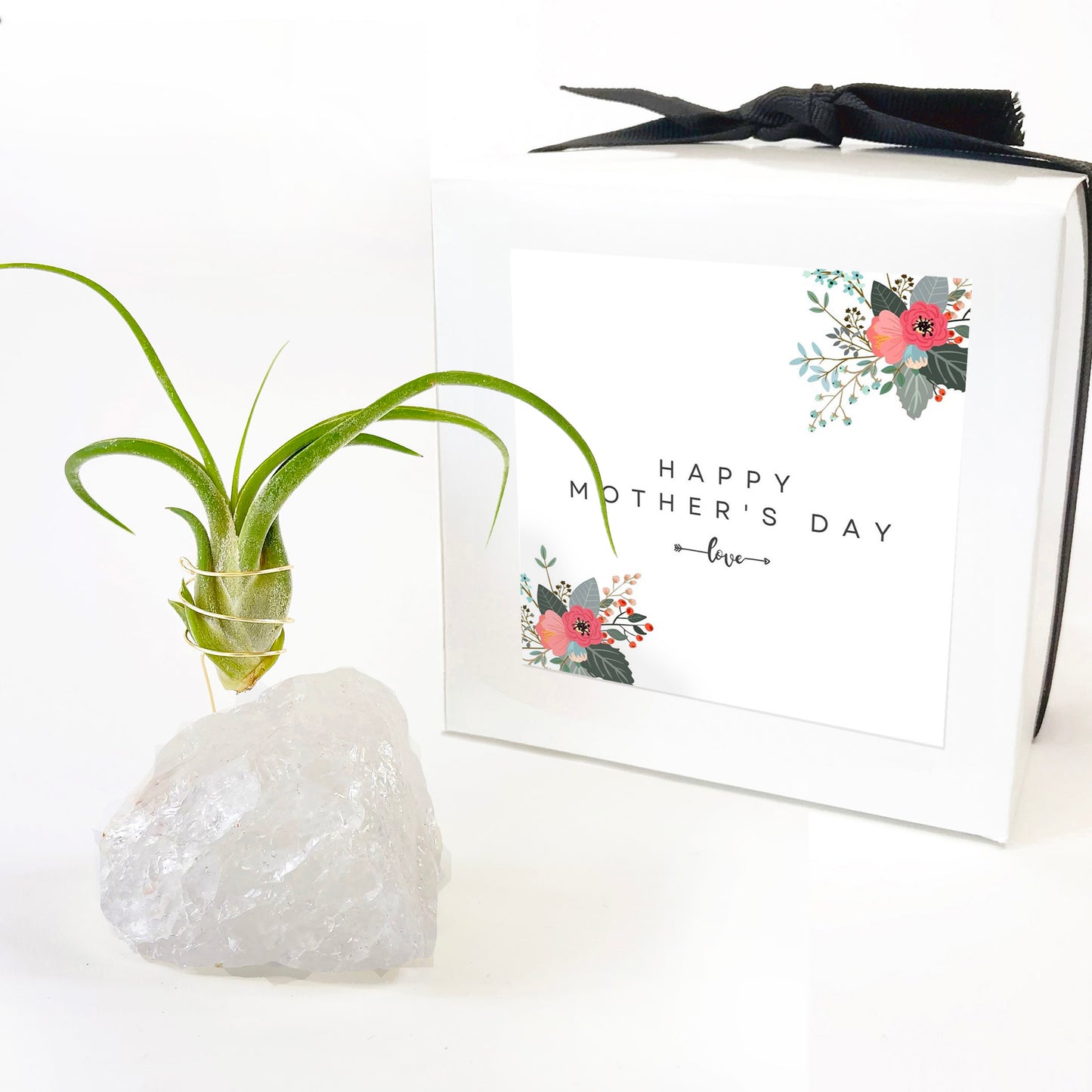 Mother's Day Gift —  Clear Quartz Crystal Air Plant Holder