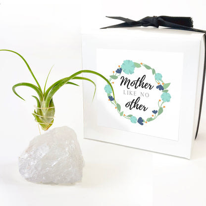 Mother's Day Gift —  Clear Quartz Crystal Air Plant Holder