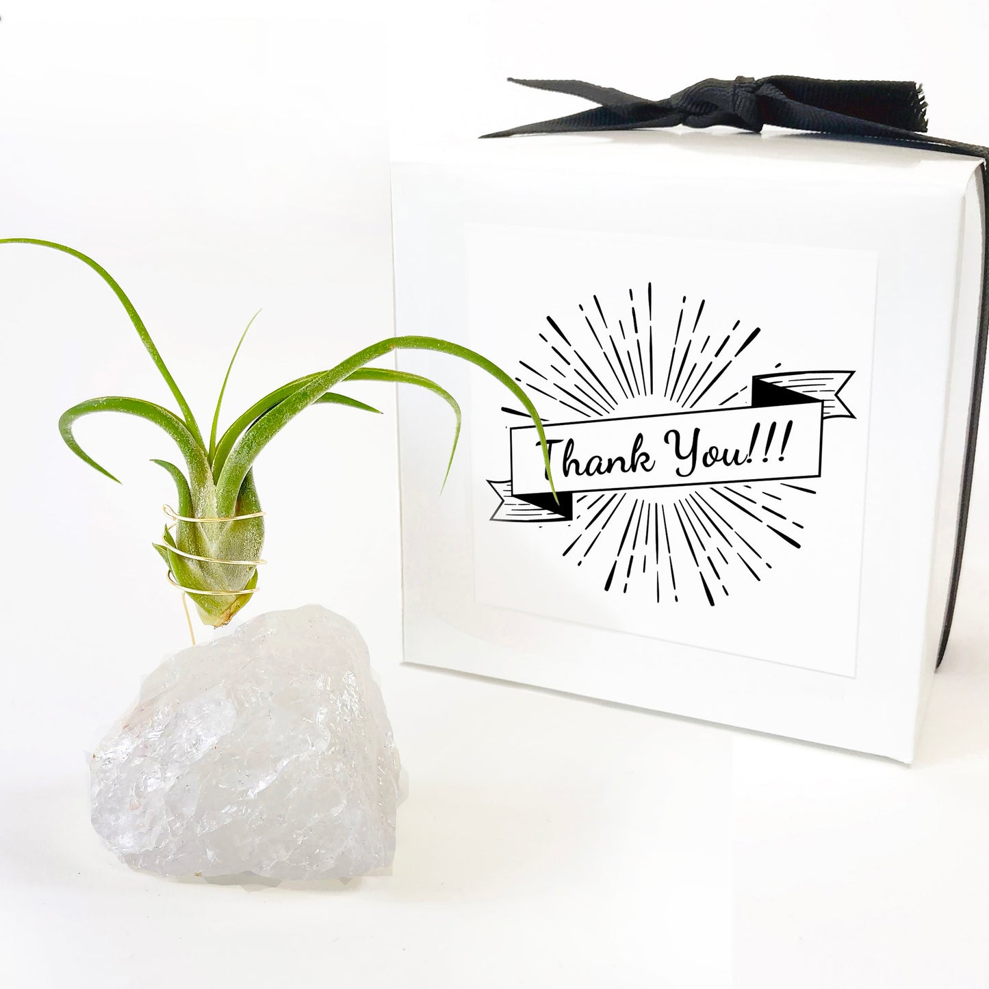 Thank You Gift - Clear Quartz Crystal Air Plant Holder