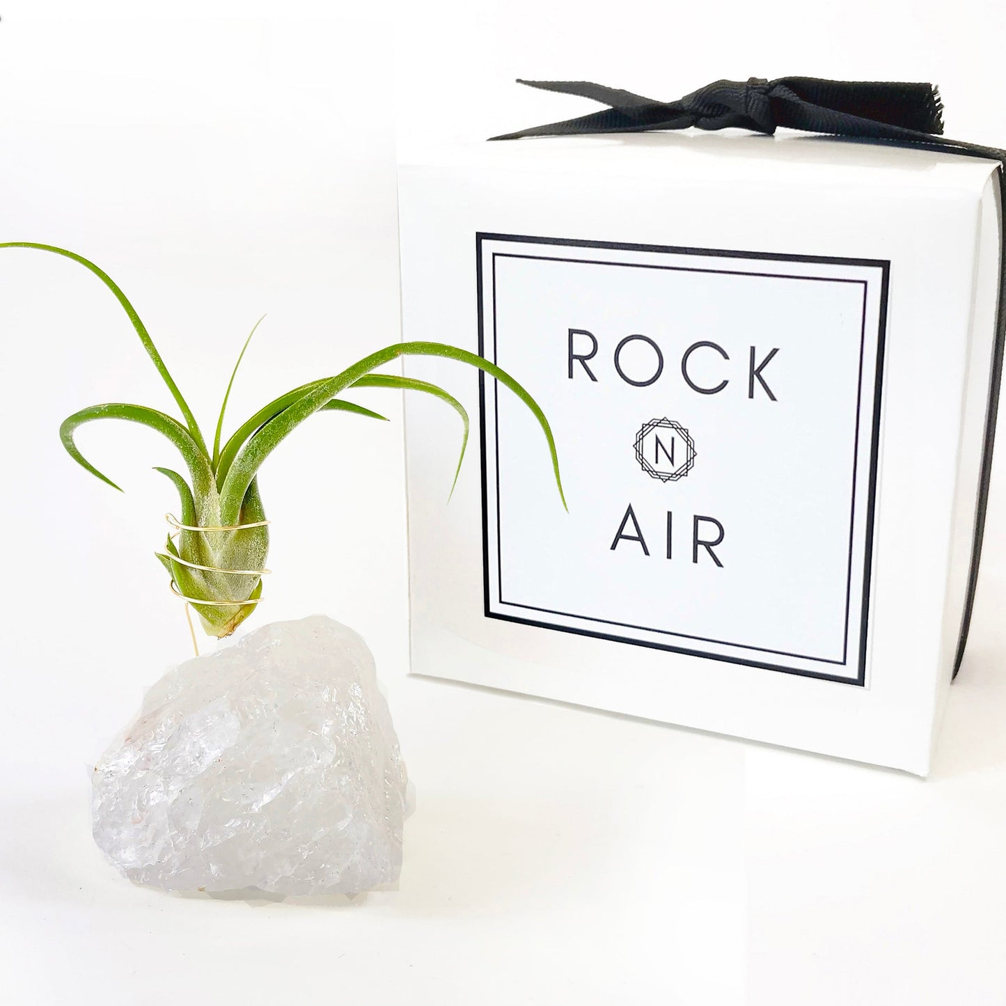 Clear Quartz Crystal Air Plant Holder