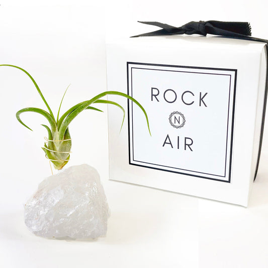 Thank You Gift - Clear Quartz Crystal Air Plant Holder