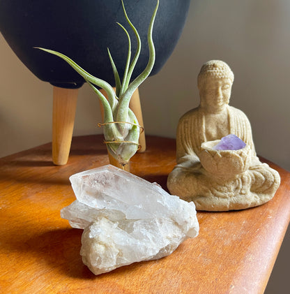 One-of-a-Kind Large Clear Quartz Crystal with Point Air Plant Holder