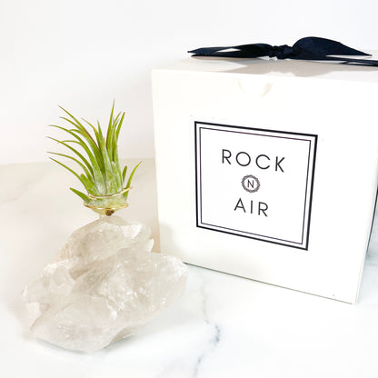Large Clear Quartz Crystal with Points - Air Plant Holder for Plant and Crystal Lovers
