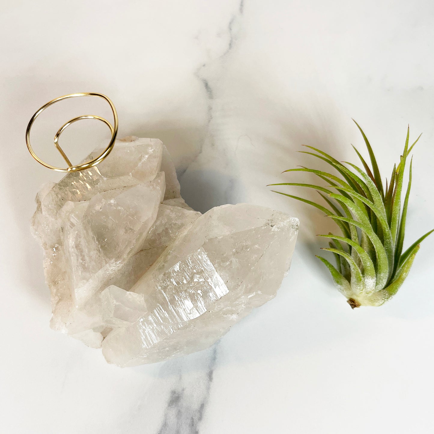 Large Clear Quartz Crystal with Points - Air Plant Holder for Plant and Crystal Lovers