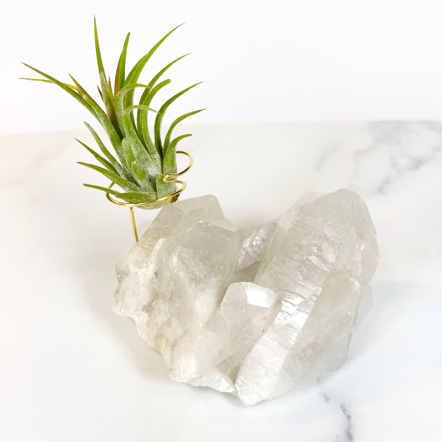 Large Clear Quartz Crystal with Points - Air Plant Holder for Plant and Crystal Lovers