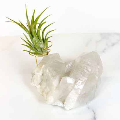 Large Clear Quartz Crystal with Points - Air Plant Holder for Plant and Crystal Lovers