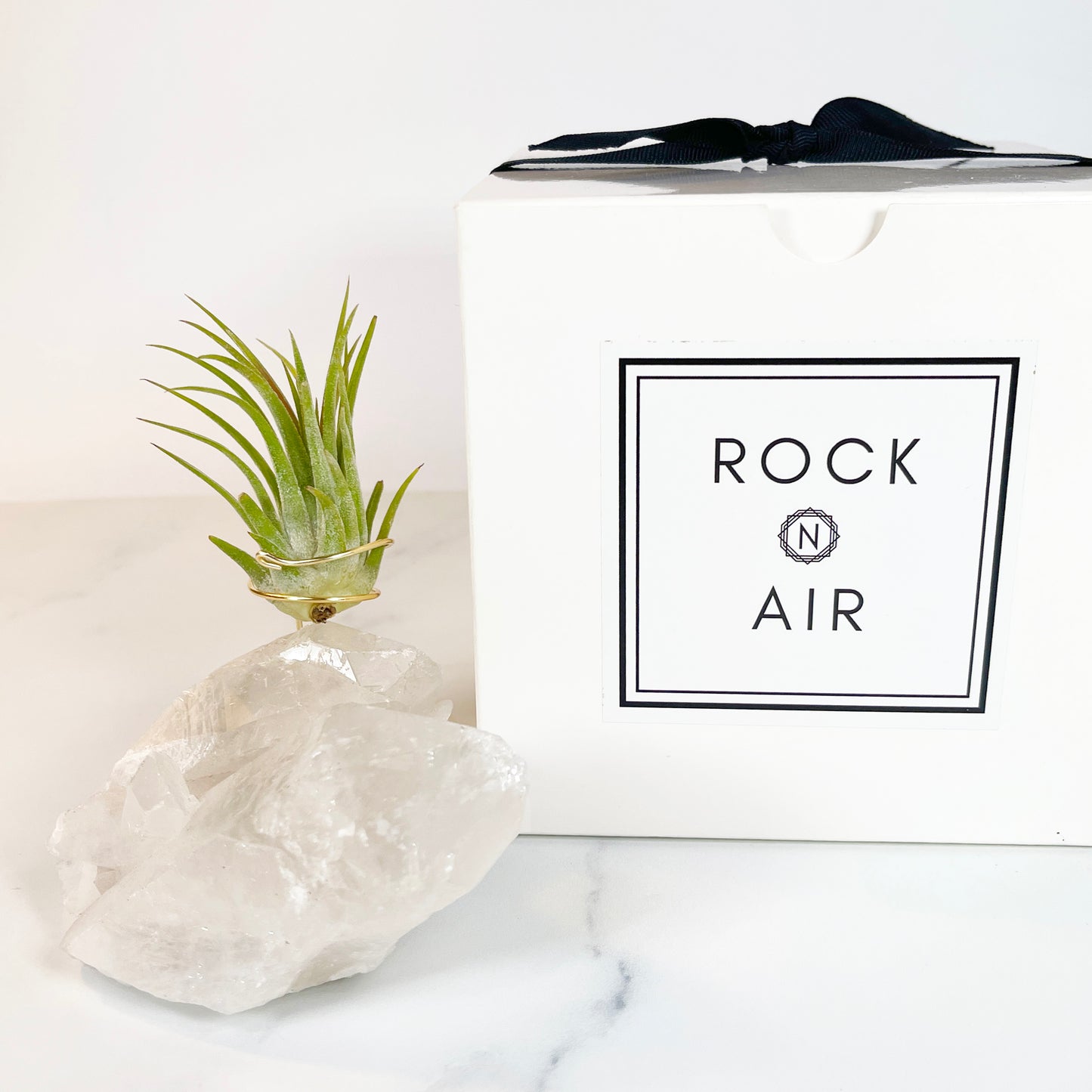 Large Clear Quartz Crystal with Points - Air Plant Holder for Plant and Crystal Lovers