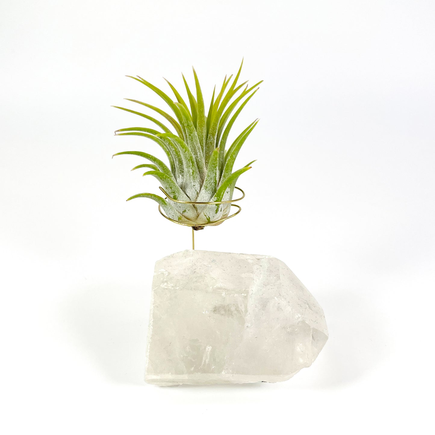 One-of-a-Kind Clear Quartz Crystal with Point Air Plant Holder