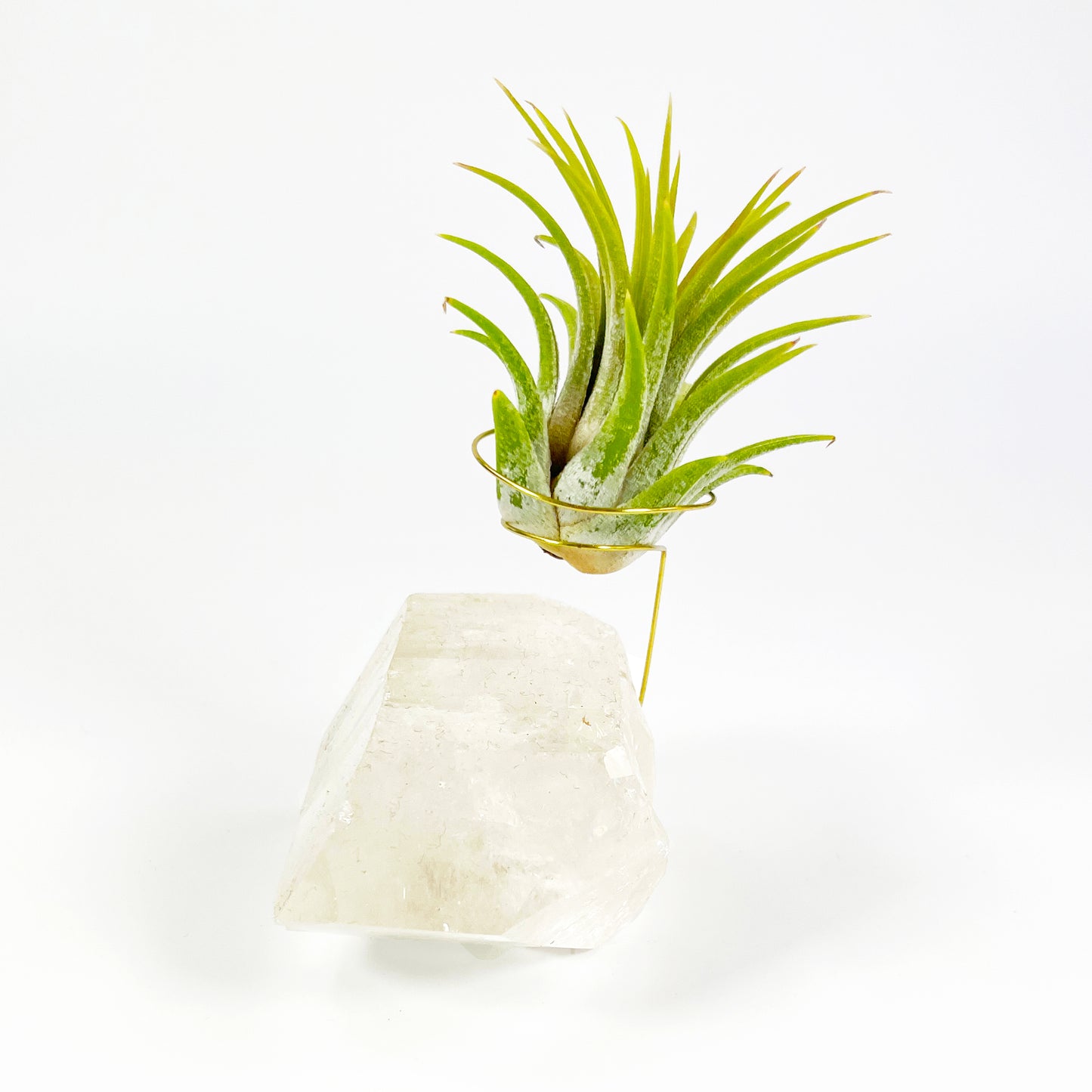 One-of-a-Kind Clear Quartz Crystal with Point Air Plant Holder