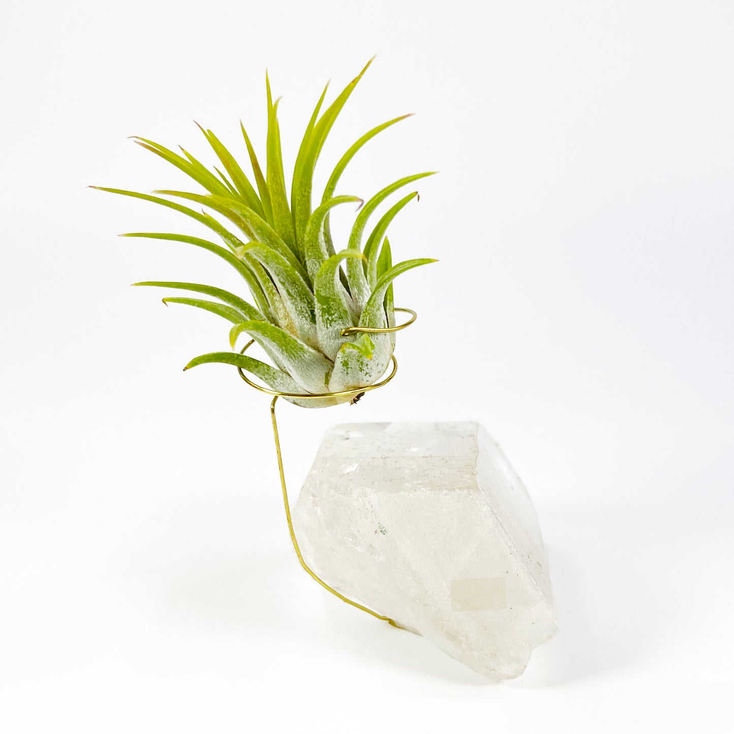 One-of-a-Kind Clear Quartz Crystal with Point Air Plant Holder