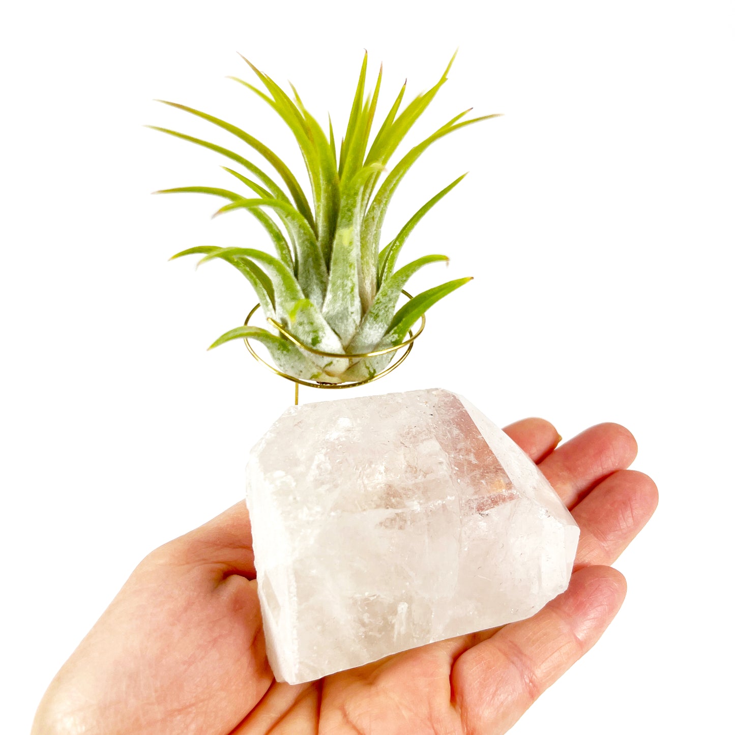 One-of-a-Kind Clear Quartz Crystal with Point Air Plant Holder