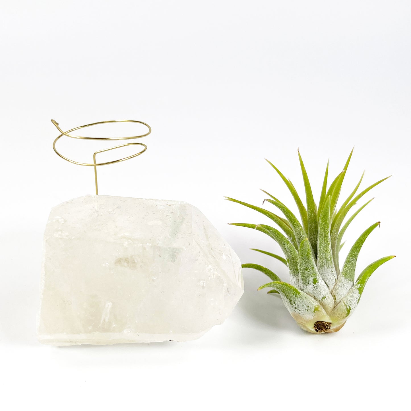 One-of-a-Kind Clear Quartz Crystal with Point Air Plant Holder