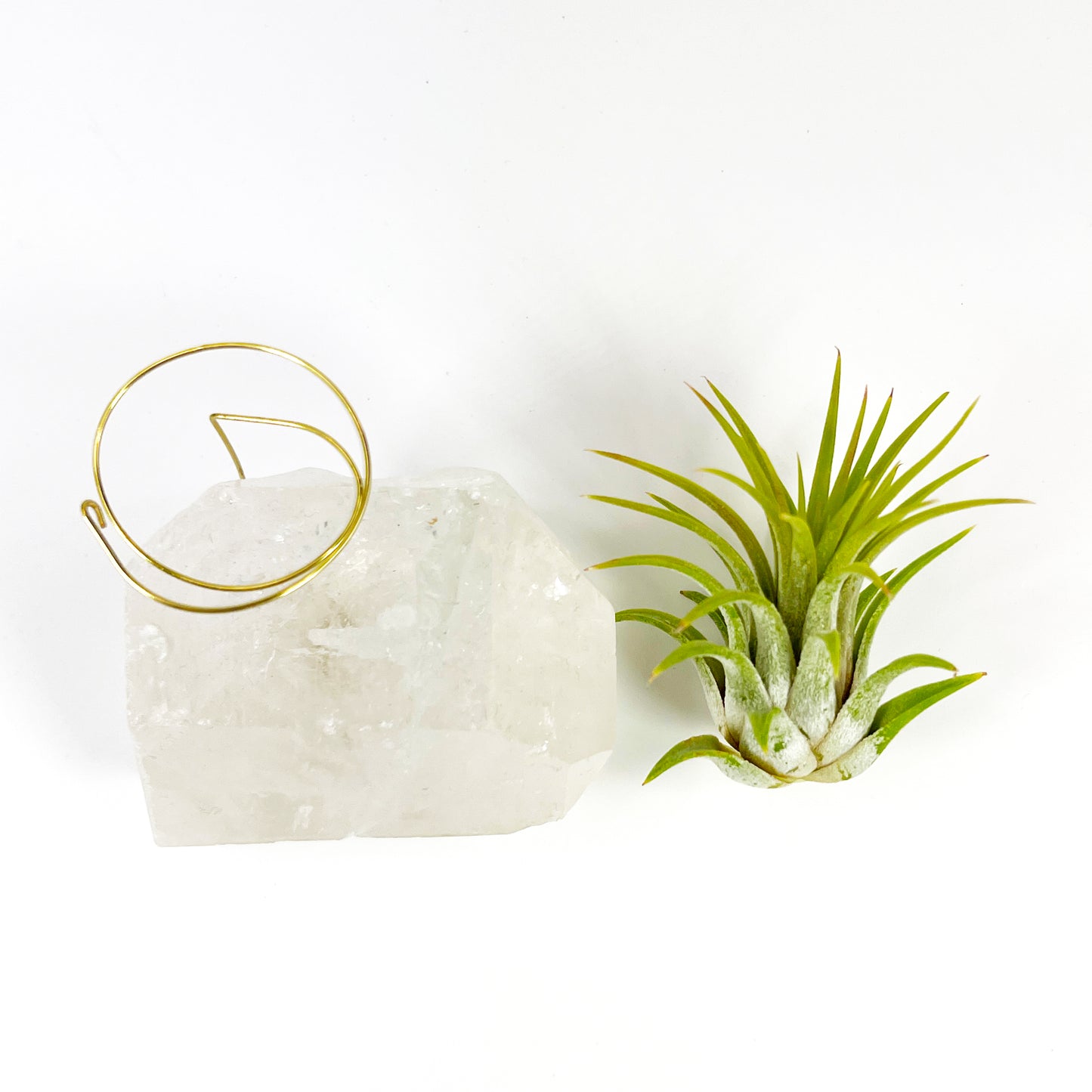 One-of-a-Kind Clear Quartz Crystal with Point Air Plant Holder