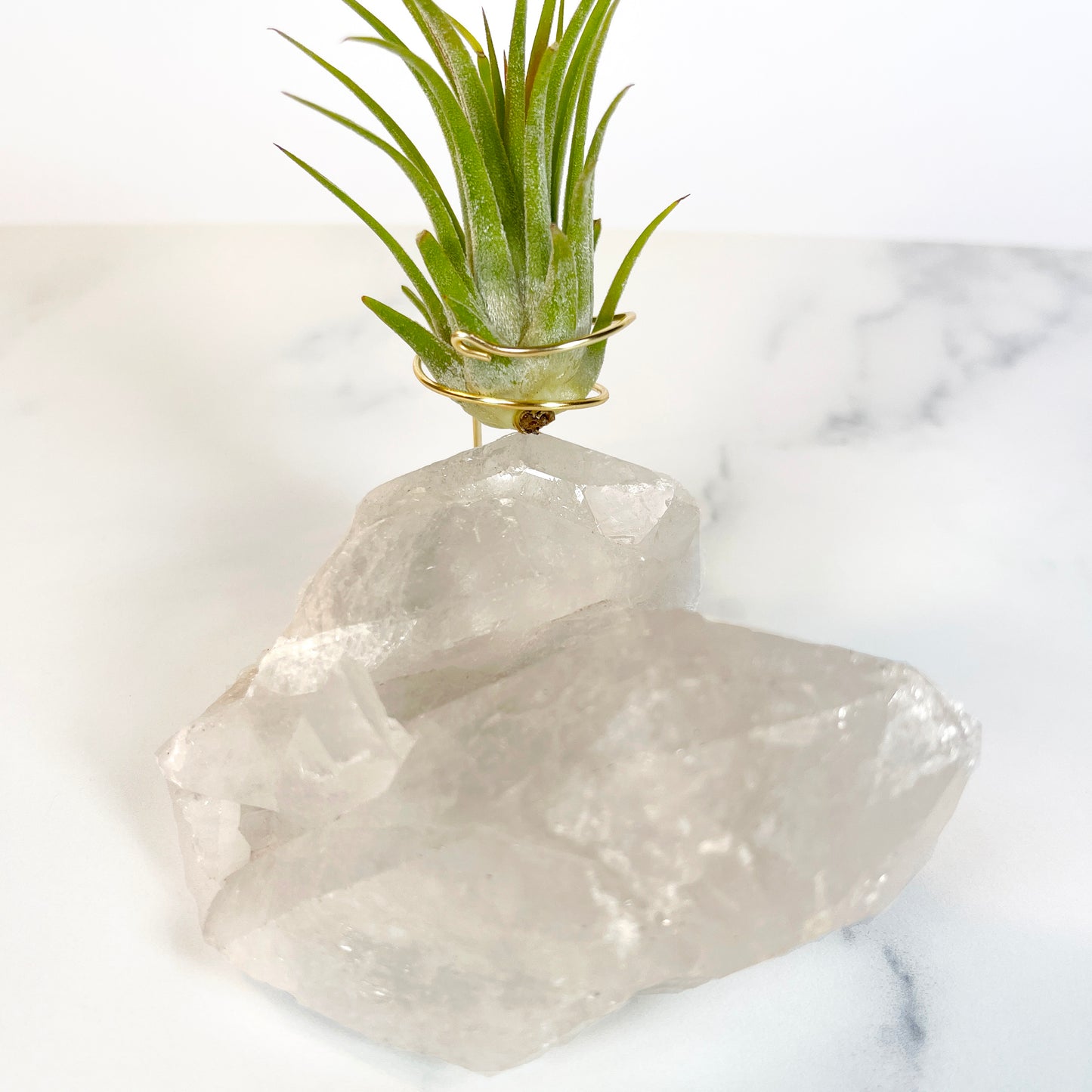 Large Clear Quartz Crystal with Points - Air Plant Holder for Plant and Crystal Lovers