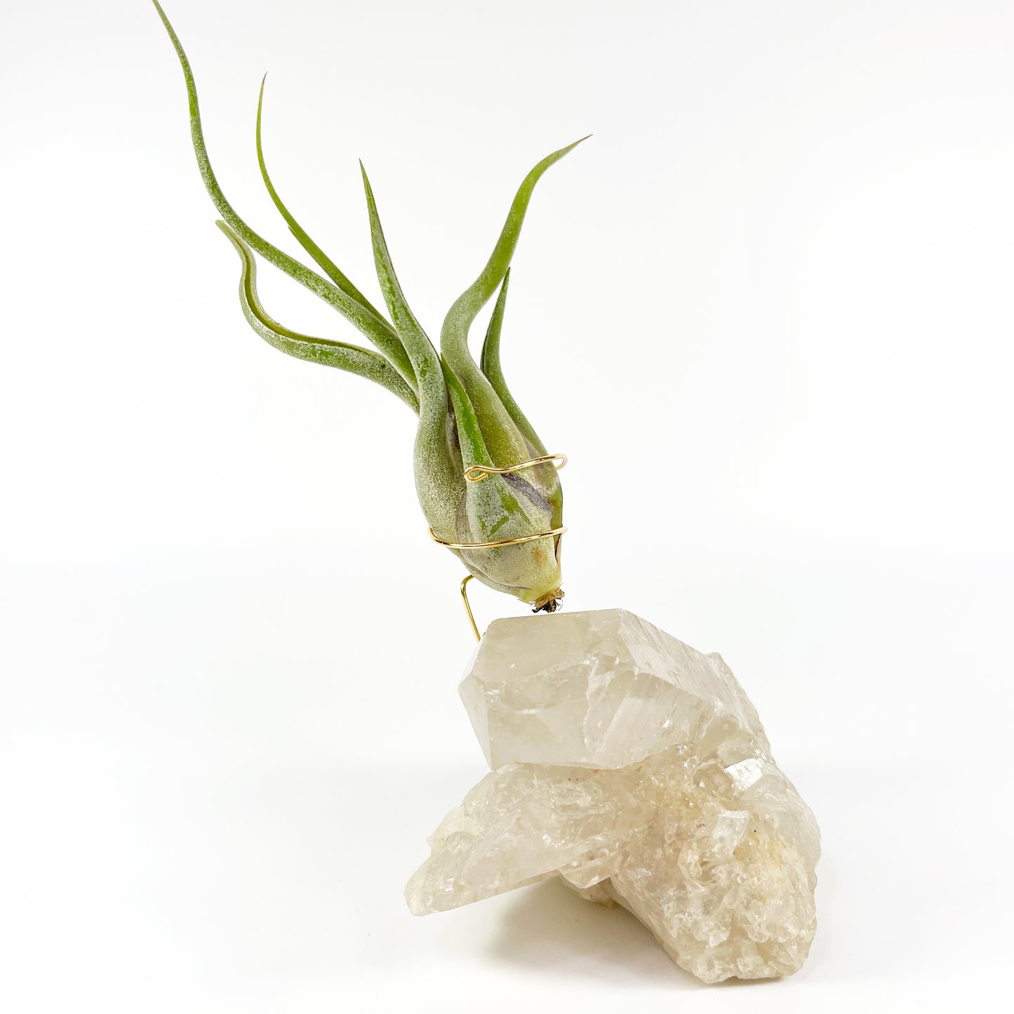 One-of-a-Kind Large Clear Quartz Crystal with Point Air Plant Holder