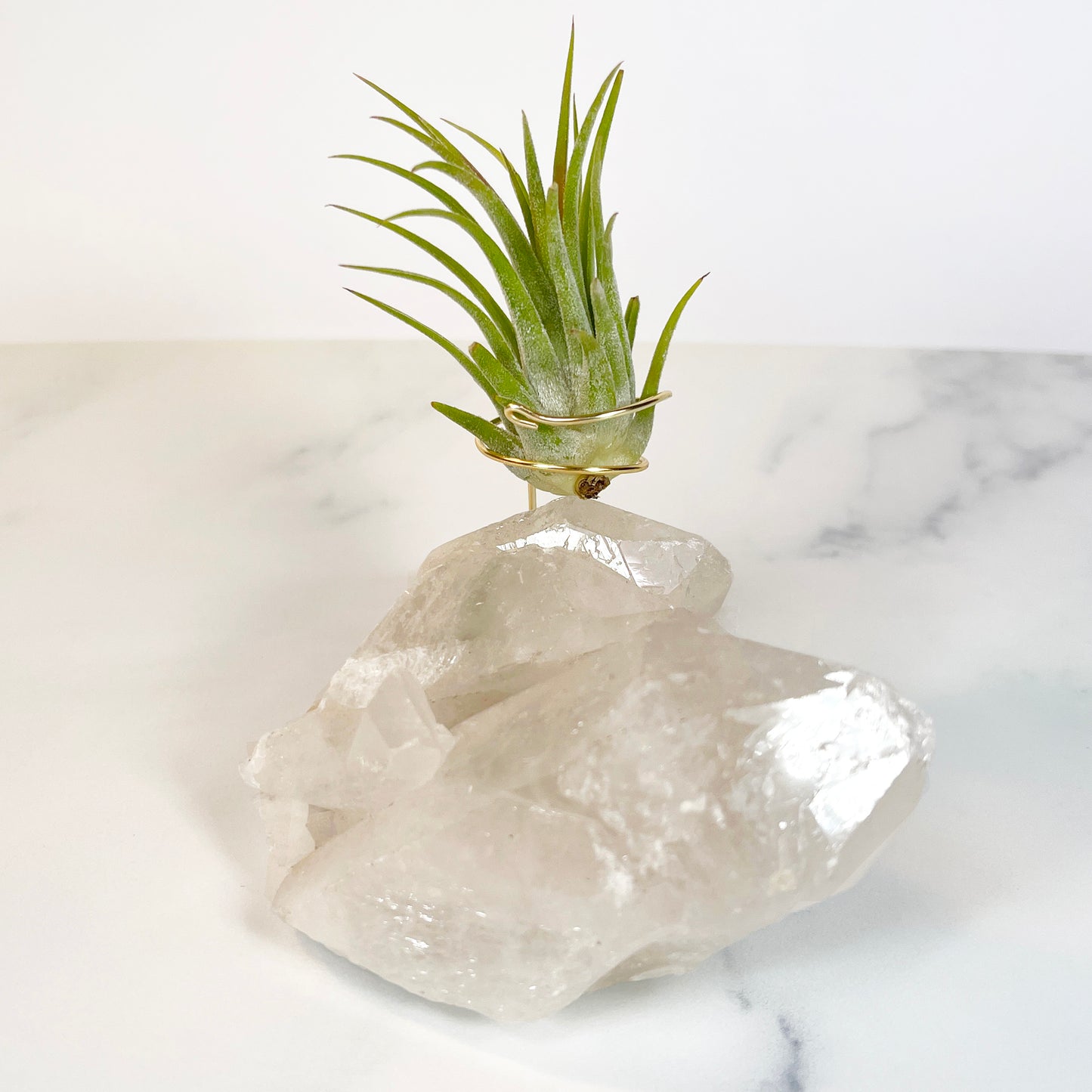 Large Clear Quartz Crystal with Points - Air Plant Holder for Plant and Crystal Lovers