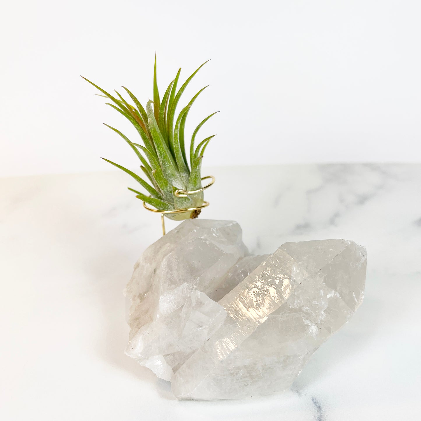 Large Clear Quartz Crystal with Points - Air Plant Holder for Plant and Crystal Lovers