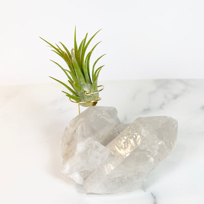 Large Clear Quartz Crystal with Points - Air Plant Holder for Plant and Crystal Lovers