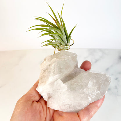 Large Clear Quartz Crystal with Points - Air Plant Holder for Plant and Crystal Lovers
