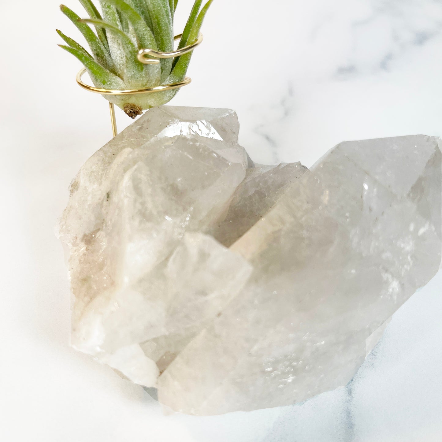 Large Clear Quartz Crystal with Points - Air Plant Holder for Plant and Crystal Lovers