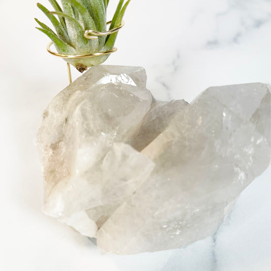 Large Clear Quartz Crystal with Points - Air Plant Holder for Plant and Crystal Lovers