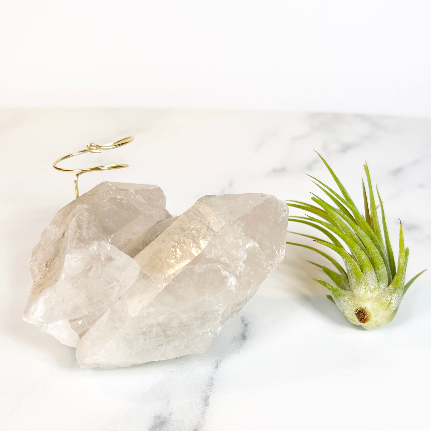 Large Clear Quartz Crystal with Points - Air Plant Holder for Plant and Crystal Lovers