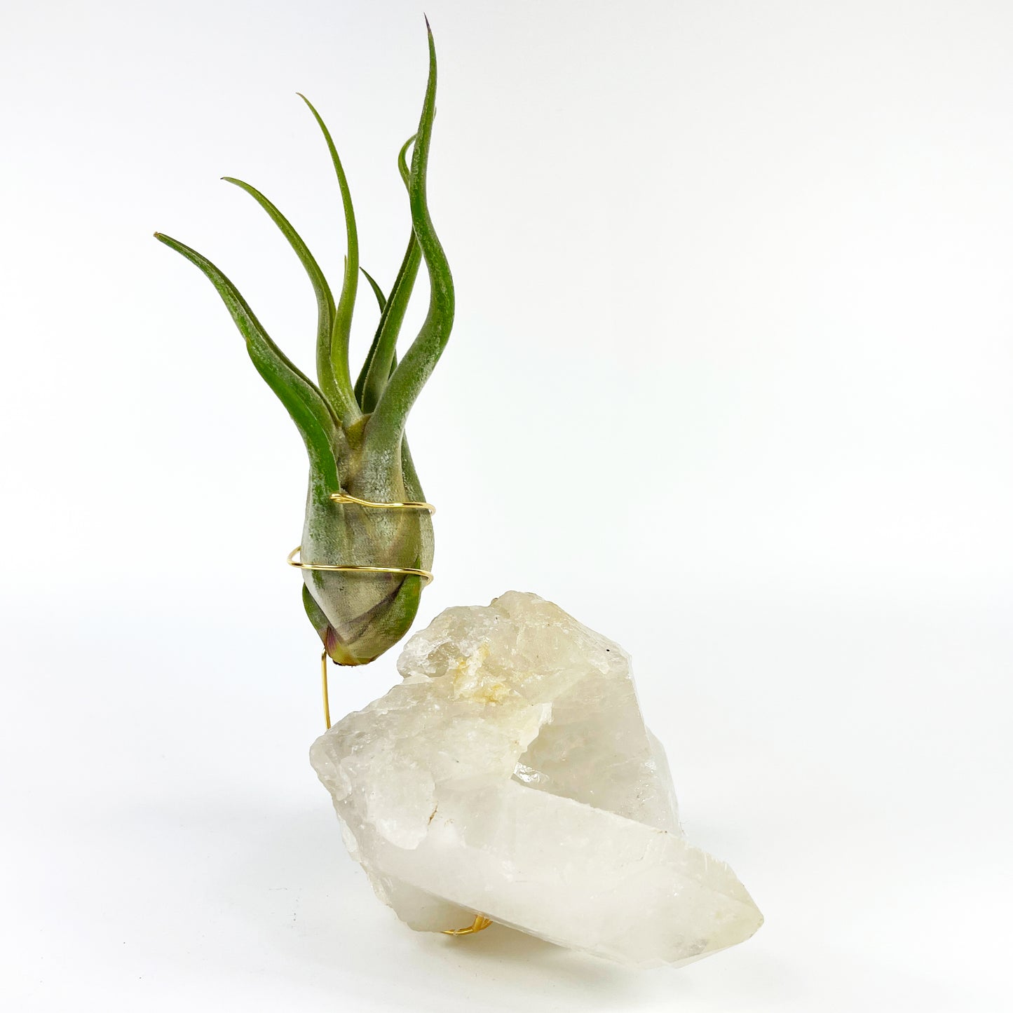 One-of-a-Kind Clear Quartz Crystal with Point Air Plant Holder