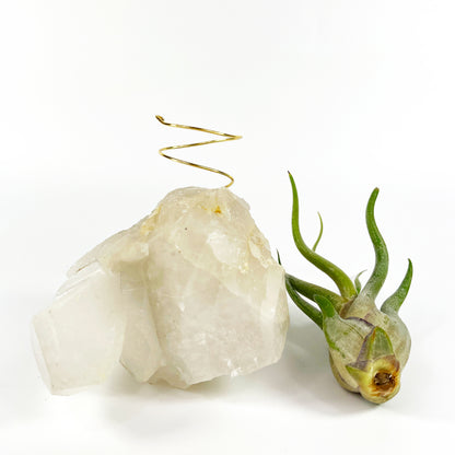 One-of-a-Kind Clear Quartz Crystal with Point Air Plant Holder