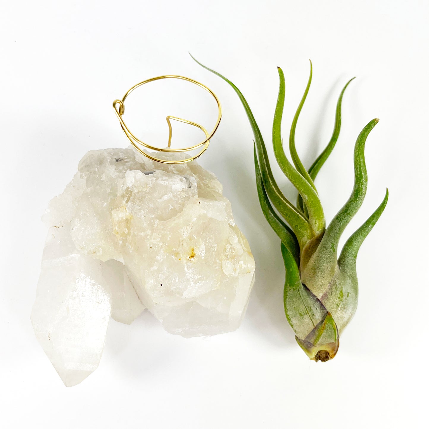 One-of-a-Kind Clear Quartz Crystal with Point Air Plant Holder