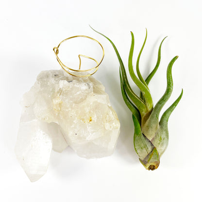 One-of-a-Kind Clear Quartz Crystal with Point Air Plant Holder