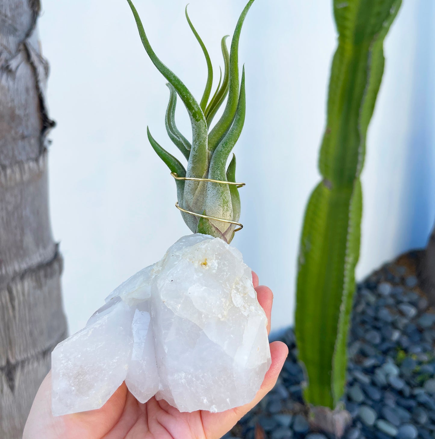 One-of-a-Kind Clear Quartz Crystal with Point Air Plant Holder