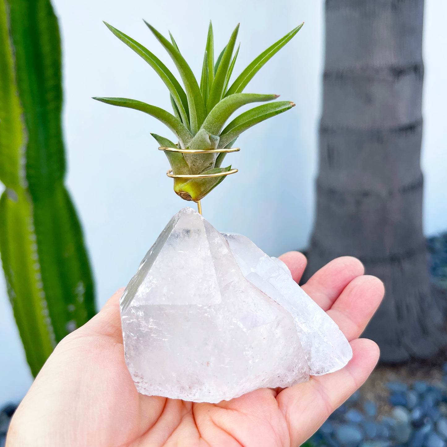 Standing Clear Quartz Crystal with Point - Unique Crystal Air Plant Holder